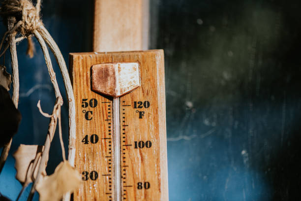 Instant-read thermometer for perfect proteins