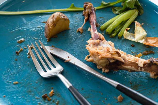 Turn Last Night’s Dinner Into Tonight’s New Favorite